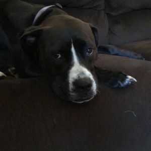 Meet your Posher, Colleen